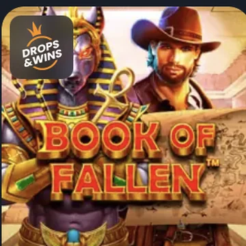 Slot Book of Fallen im Beef Casino